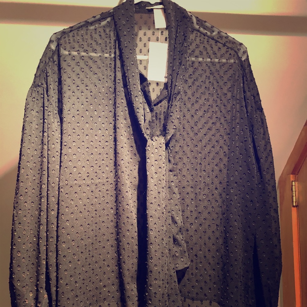 H&M Sheer Polka Dot Pussy Bow Blouse